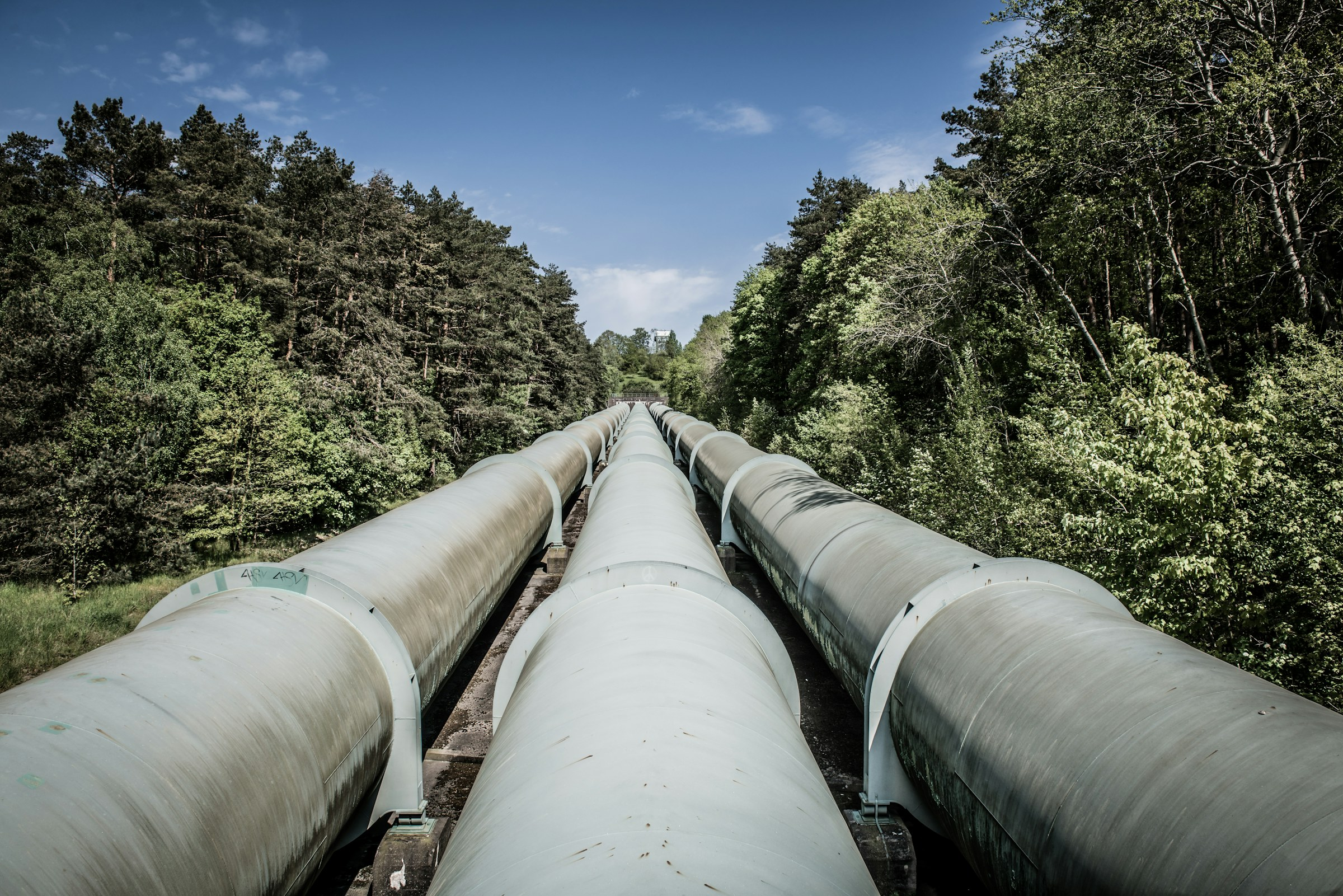 Twin pipelines through a forest